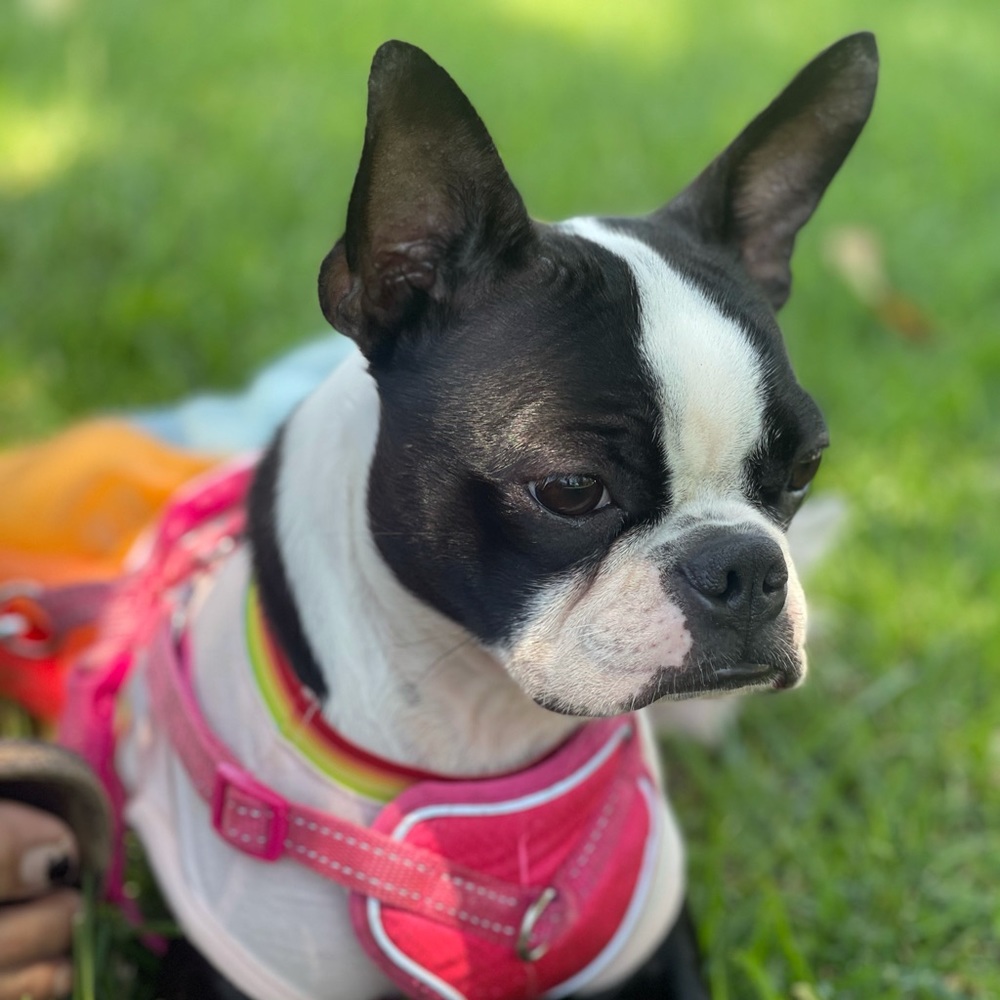 Meet your Posher, Lisa